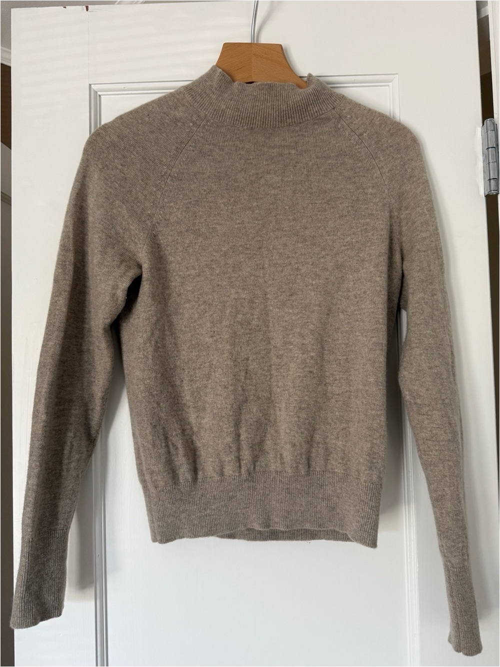 Everlane Cashmere Raglan Mockneck taupe sweater
